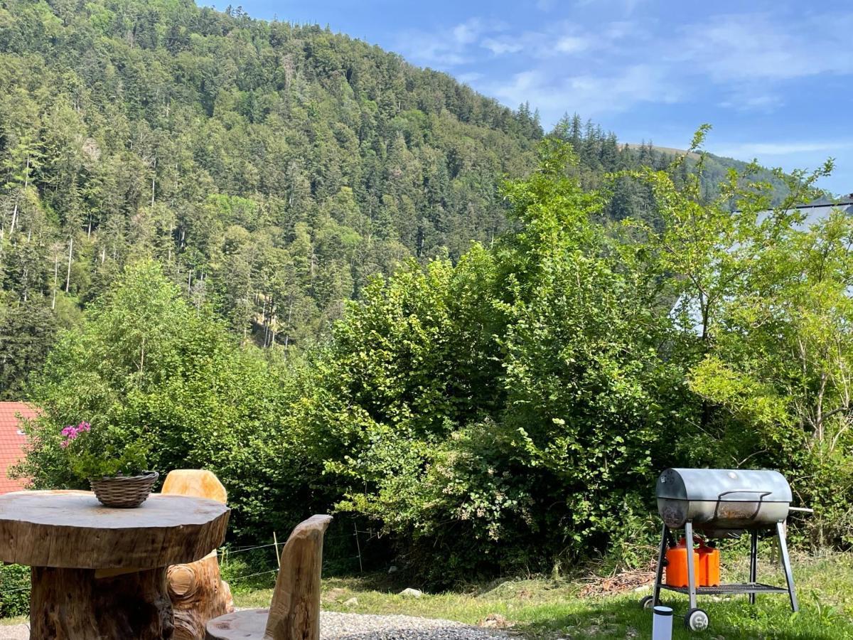 Le Chalet Du Coeur Mittlach Luaran gambar