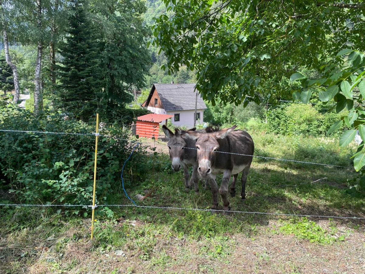 Le Chalet Du Coeur Mittlach Luaran gambar