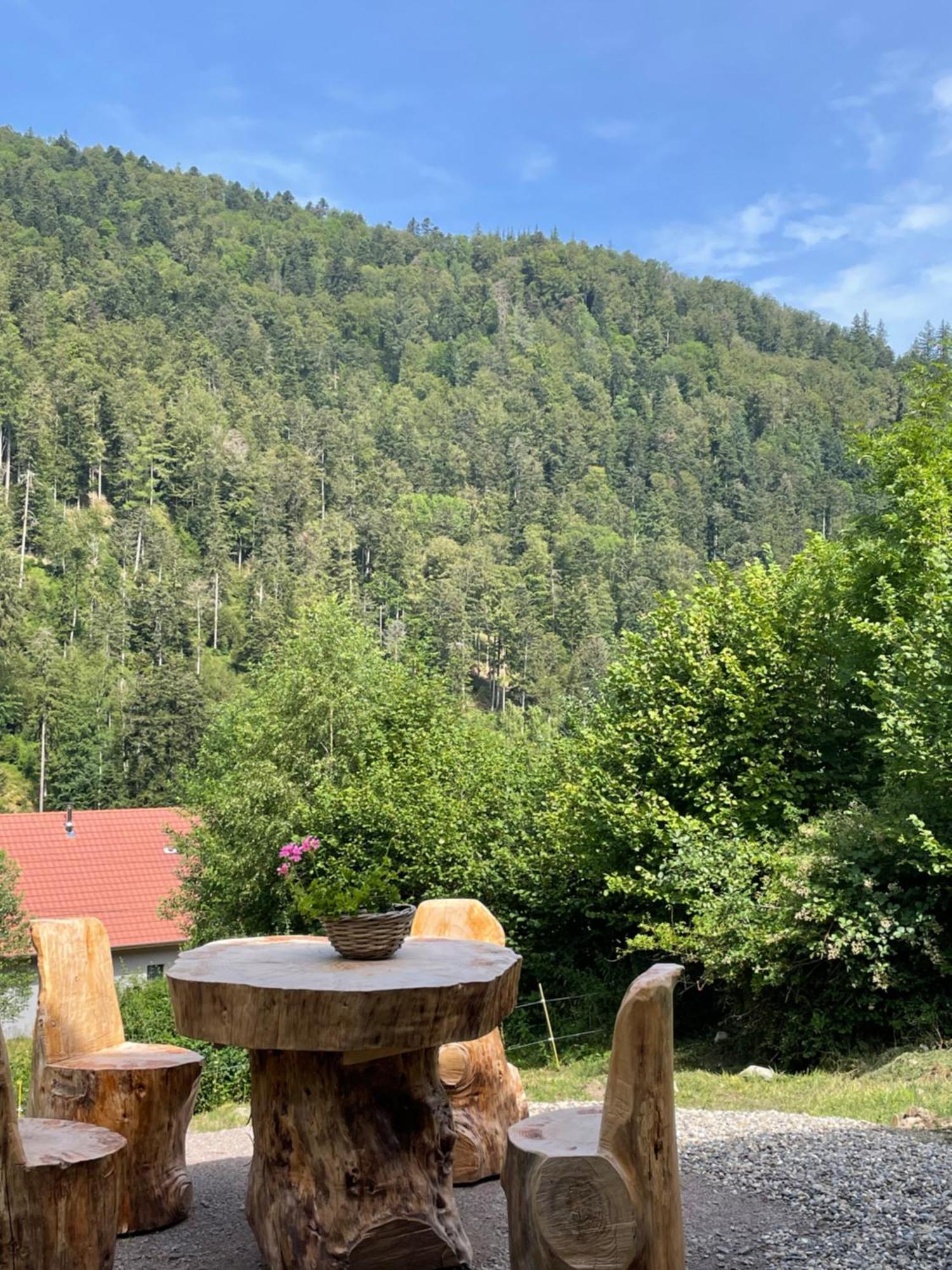 Le Chalet Du Coeur Mittlach Luaran gambar